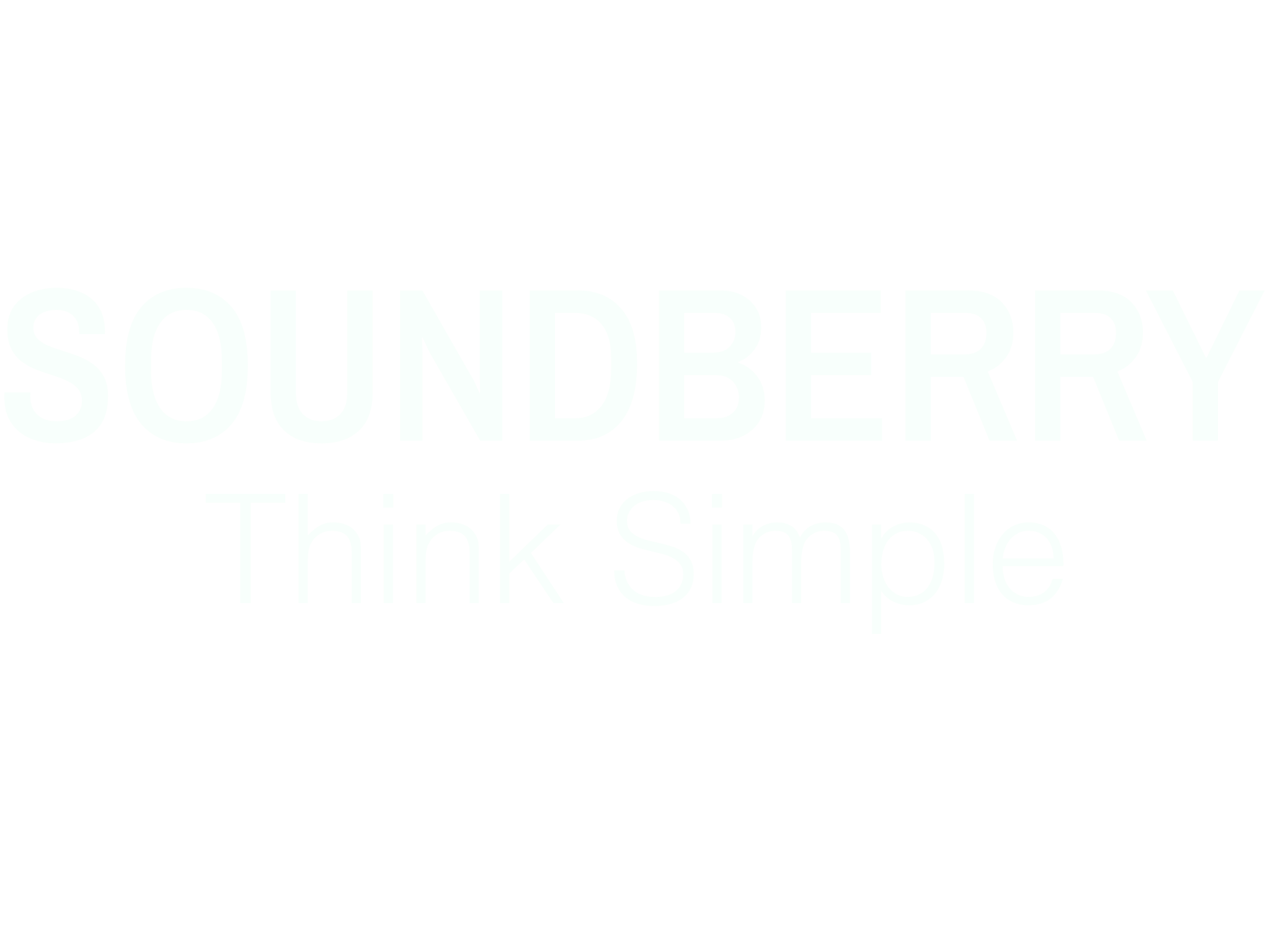 soundberrycase.com